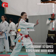 Завершились соревнования по каратэ в программе XXXVII МССИ